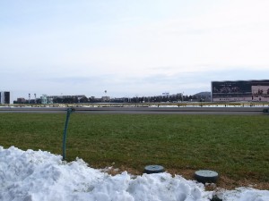 芝が混じる外ラチに集められた雪