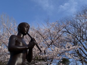笛吹き少年越しの桜